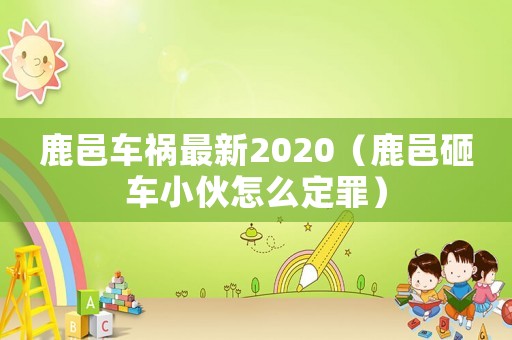 鹿邑車禍最新2020（鹿邑砸車小伙怎么定罪）