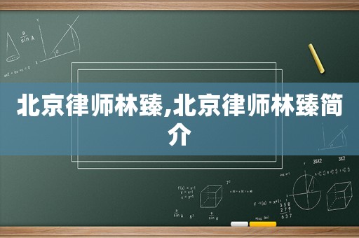 北京律師林臻,北京律師林臻簡(jiǎn)介