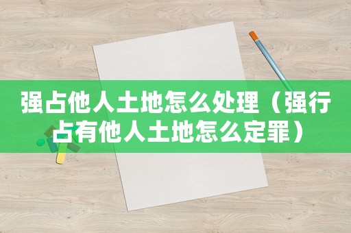 強(qiáng)占他人土地怎么處理（強(qiáng)行占有他人土地怎么定罪）