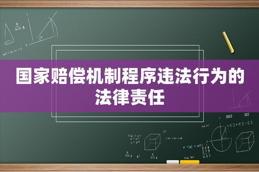 國(guó)家賠償機(jī)制程序違法行為的法律責(zé)任