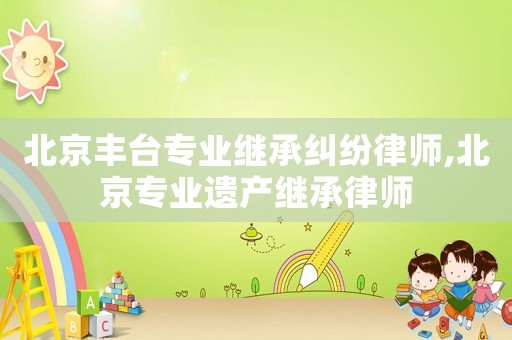 北京豐臺(tái)專業(yè)繼承糾紛律師,北京專業(yè)遺產(chǎn)繼承律師
