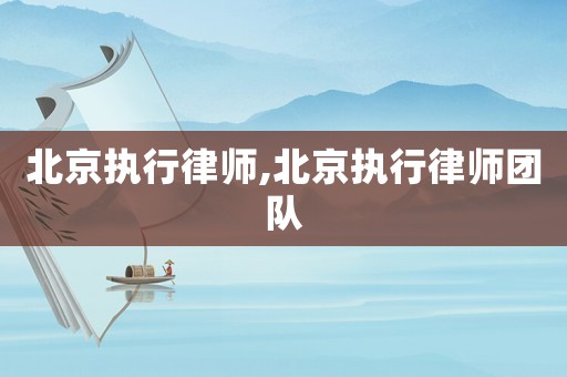 北京執(zhí)行律師,北京執(zhí)行律師團隊
