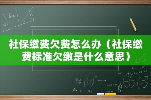 社保繳費(fèi)欠費(fèi)怎么辦（社保繳費(fèi)標(biāo)準(zhǔn)欠繳是什么意思）