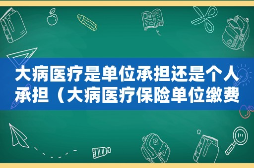 大病醫(yī)療是單位承擔(dān)還是個(gè)人承擔(dān)（大病醫(yī)療保險(xiǎn)單位繳費(fèi)標(biāo)準(zhǔn)）