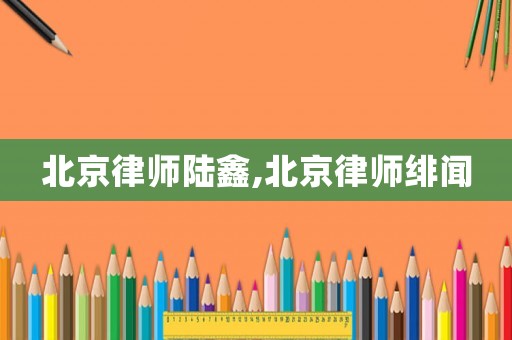 北京律師陸鑫,北京律師緋聞