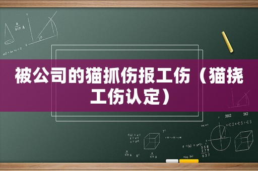 被公司的貓抓傷報(bào)工傷（貓撓工傷認(rèn)定）