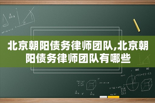 北京朝陽債務(wù)律師團(tuán)隊(duì),北京朝陽債務(wù)律師團(tuán)隊(duì)有哪些
