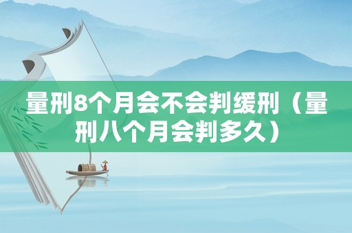 量刑8個(gè)月會不會判緩刑（量刑八個(gè)月會判多久）