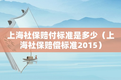 上海社保賠付標(biāo)準(zhǔn)是多少（上海社保賠償標(biāo)準(zhǔn)2015）