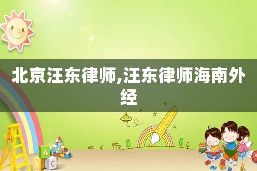 北京汪東律師,汪東律師海南外經(jīng)