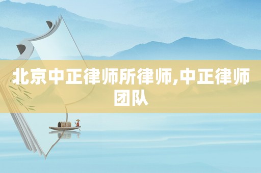 北京中正律師所律師,中正律師團(tuán)隊(duì)