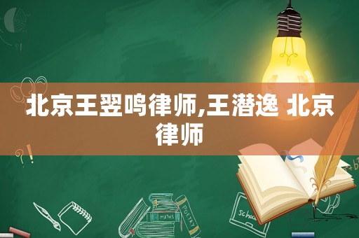 北京王翌鳴律師,王潛逸 北京律師