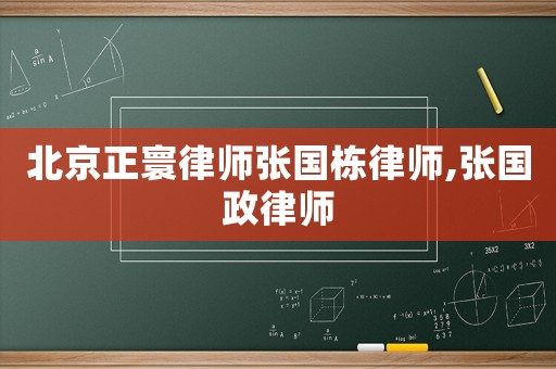 北京正寰律師張國棟律師,張國政律師