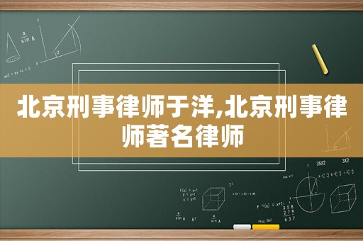 北京刑事律師于洋,北京刑事律師著名律師