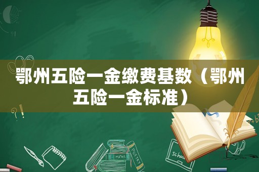 鄂州五險(xiǎn)一金繳費(fèi)基數(shù)（鄂州五險(xiǎn)一金標(biāo)準(zhǔn)）