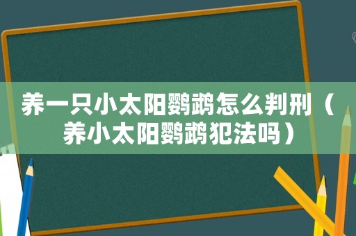 養(yǎng)一只小太陽鸚鵡怎么判刑（養(yǎng)小太陽鸚鵡犯法嗎）