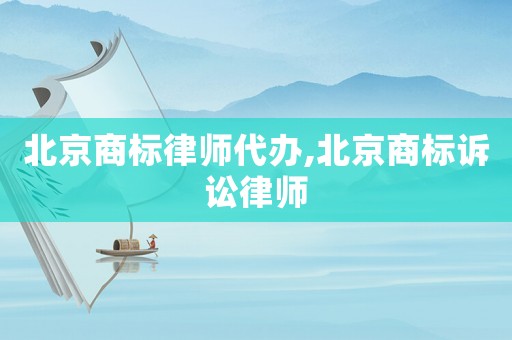 北京商標(biāo)律師代辦,北京商標(biāo)訴訟律師