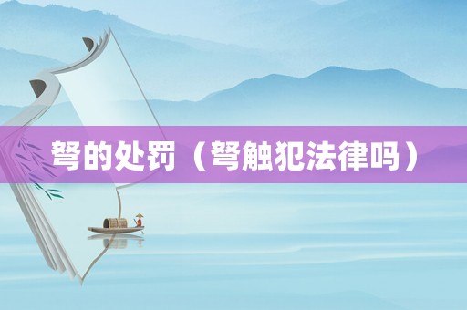 弩的處罰（弩觸犯法律嗎）