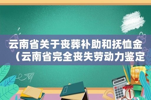 云南省關(guān)于喪葬補(bǔ)助和撫恤金（云南省完全喪失勞動(dòng)力鑒定標(biāo)準(zhǔn)）