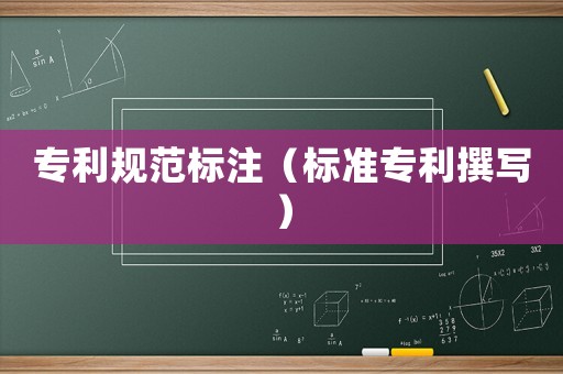 專利規(guī)范標(biāo)注（標(biāo)準(zhǔn)專利撰寫）