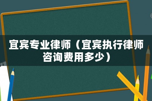 宜賓專業(yè)律師（宜賓執(zhí)行律師咨詢費用多少）