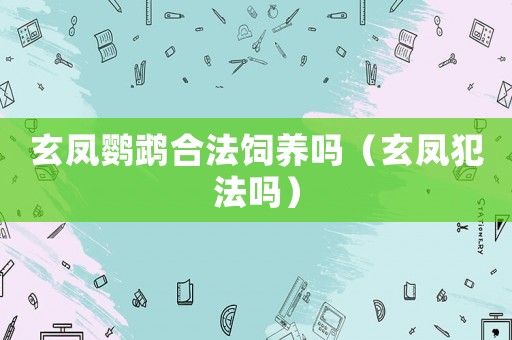 玄鳳鸚鵡合法飼養(yǎng)嗎（玄鳳犯法嗎）