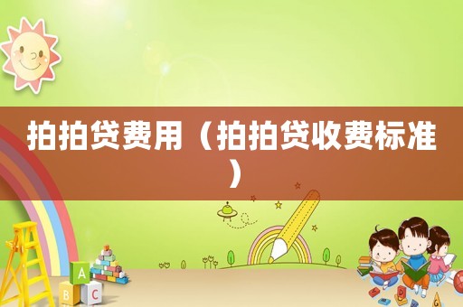 拍拍貸費(fèi)用（拍拍貸收費(fèi)標(biāo)準(zhǔn)）