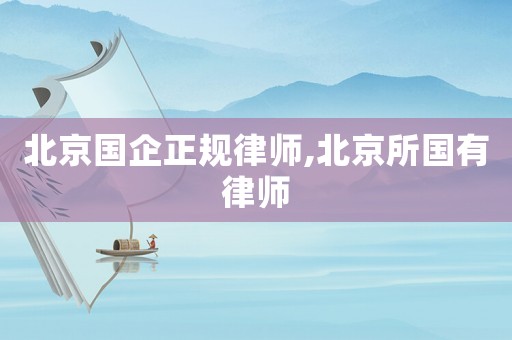 北京國企正規(guī)律師,北京所國有律師