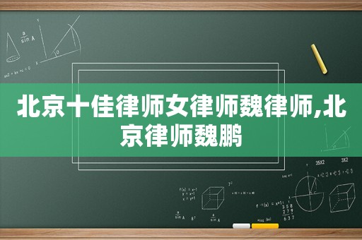 北京十佳律師女律師魏律師,北京律師魏鵬