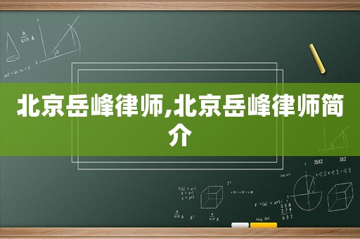 北京岳峰律師,北京岳峰律師簡介