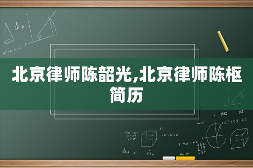 北京律師陳韶光,北京律師陳樞簡歷