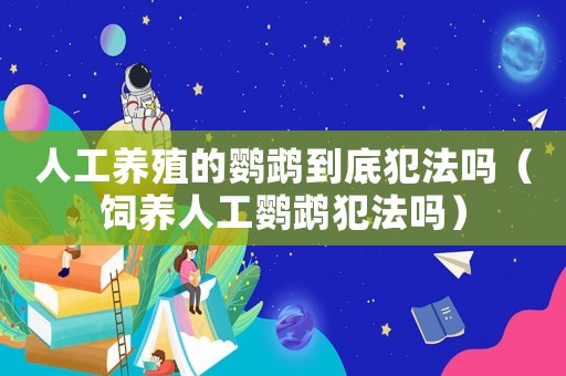 人工養(yǎng)殖的鸚鵡到底犯法嗎（飼養(yǎng)人工鸚鵡犯法嗎）