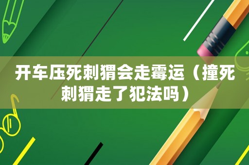 開車壓死刺猬會走霉運（撞死刺猬走了犯法嗎）