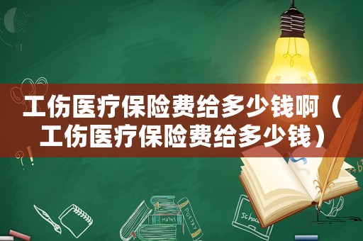 工傷醫(yī)療保險費給多少錢啊（工傷醫(yī)療保險費給多少錢）