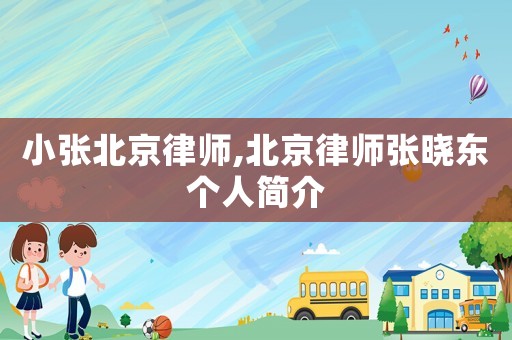 小張北京律師,北京律師張曉東個(gè)人簡介