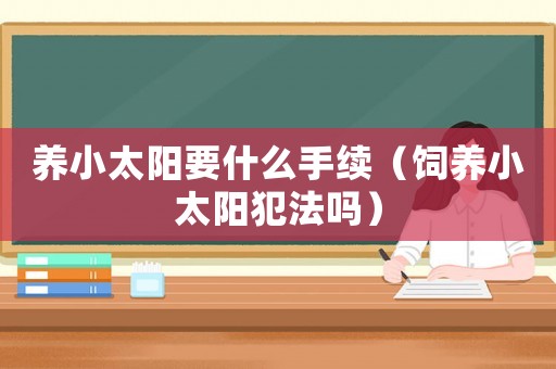 養(yǎng)小太陽(yáng)要什么手續(xù)（飼養(yǎng)小太陽(yáng)犯法嗎）