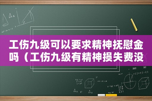 工傷九級(jí)可以要求精神撫慰金嗎（工傷九級(jí)有精神損失費(fèi)沒有）