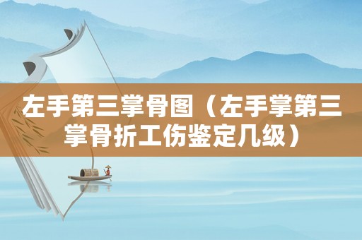 左手第三掌骨圖（左手掌第三掌骨折工傷鑒定幾級(jí)）