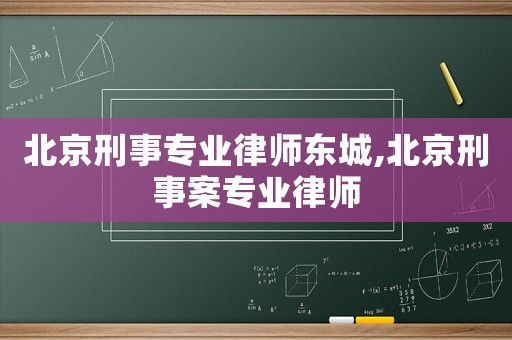 北京刑事專業(yè)律師東城,北京刑事案專業(yè)律師
