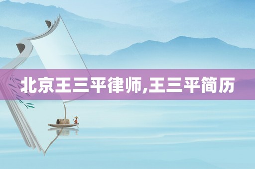 北京王三平律師,王三平簡(jiǎn)歷
