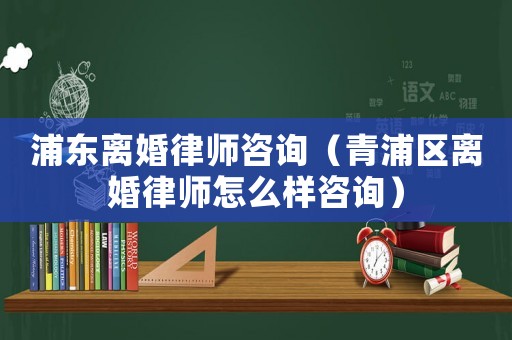 浦東離婚律師咨詢（青浦區(qū)離婚律師怎么樣咨詢）
