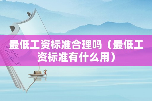 最低工資標(biāo)準(zhǔn)合理嗎（最低工資標(biāo)準(zhǔn)有什么用）