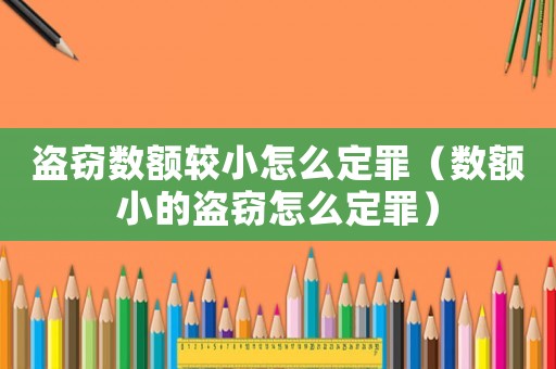 盜竊數額較小怎么定罪（數額小的盜竊怎么定罪）