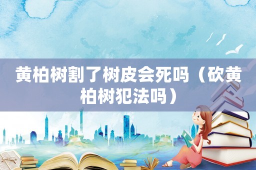 黃柏樹割了樹皮會(huì)死嗎（砍黃柏樹犯法嗎）