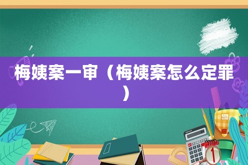 梅姨案一審（梅姨案怎么定罪）
