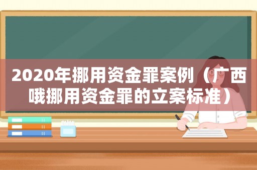 2020年挪用資金罪案例（廣西哦挪用資金罪的立案標(biāo)準(zhǔn)）