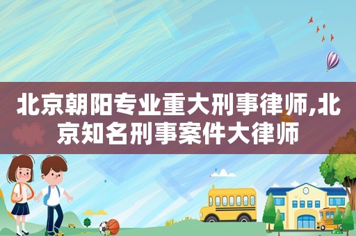 北京朝陽專業(yè)重大刑事律師,北京知名刑事案件大律師