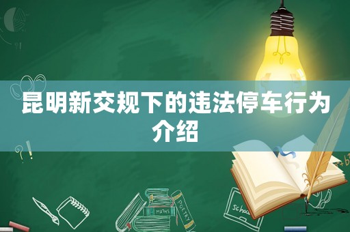昆明新交規(guī)下的違法停車行為介紹