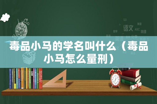毒品小馬的學(xué)名叫什么（毒品小馬怎么量刑）