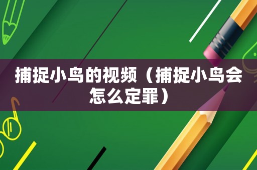 捕捉小鳥(niǎo)的視頻（捕捉小鳥(niǎo)會(huì)怎么定罪）